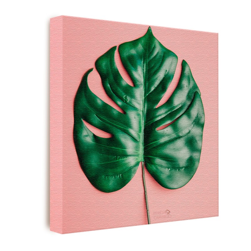 Quadro Decorativo Costela De Adão